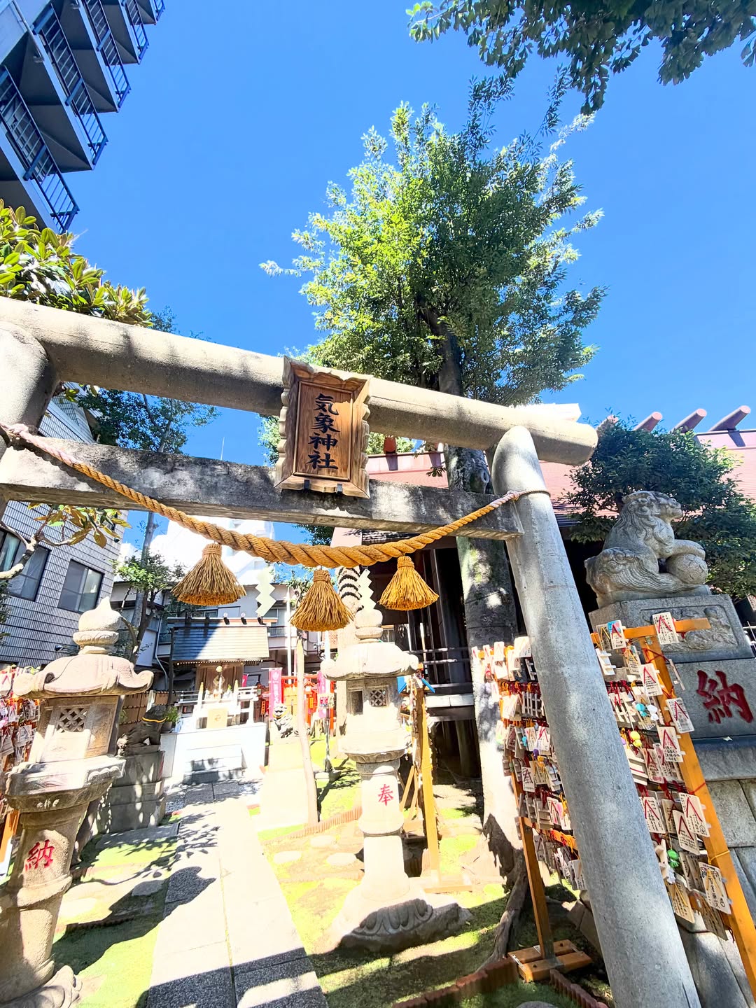 ＼10月になりましたね～🍂☀️／
