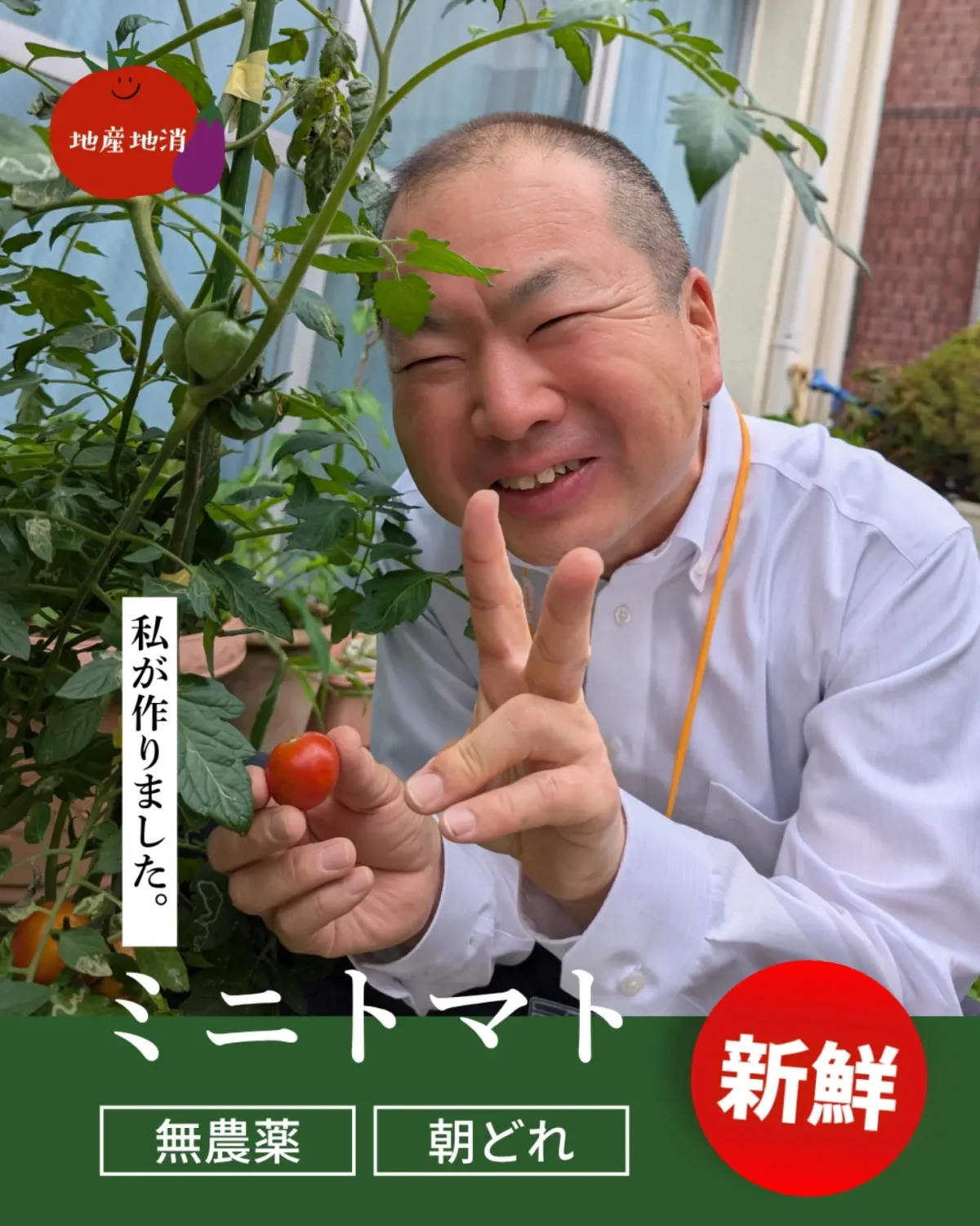 学校で先生たちが育てているお野菜が、ついにできてきました〜！🌱✨