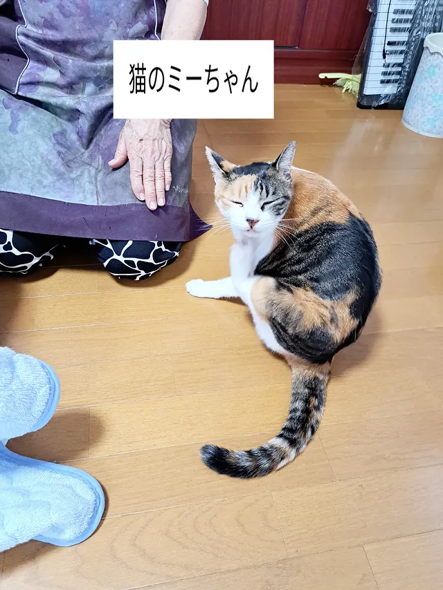先生の夏休み🌺